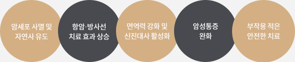 고주파 온열암치료 효과