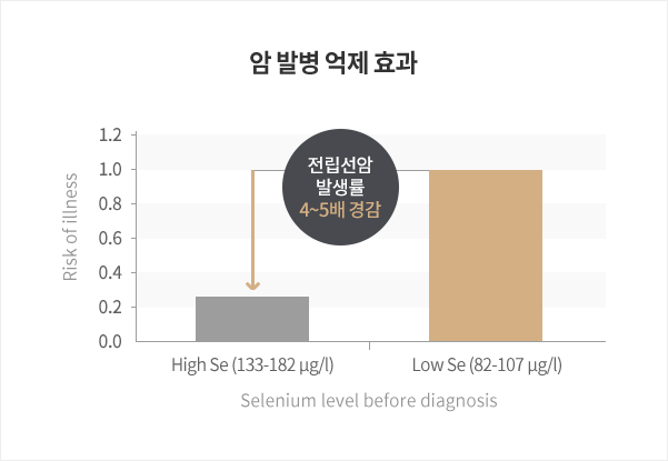 암 발병 억제 효과