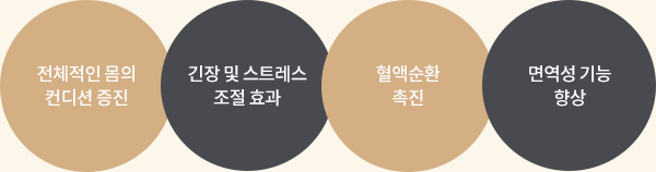 힐링프로그램 효과