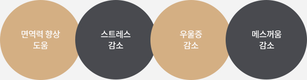 림프 마사지 효과